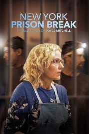 prison break season 1 watch online